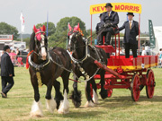 Derbyshire County Show